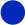 blue color logo design business